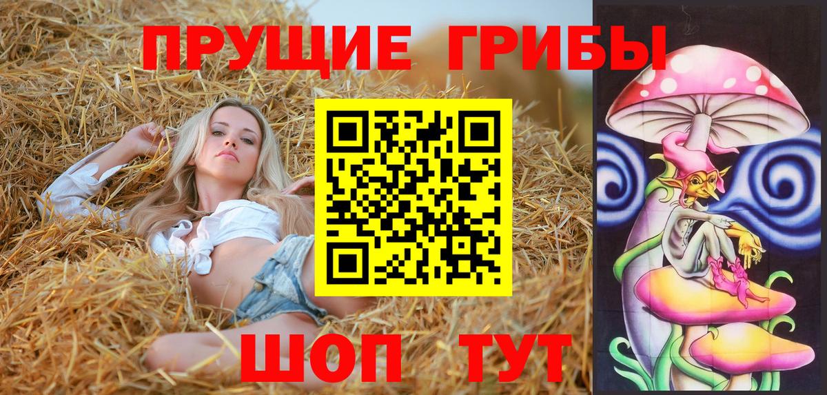 Галлюциногенные грибы мицелий Гусиноозёрск