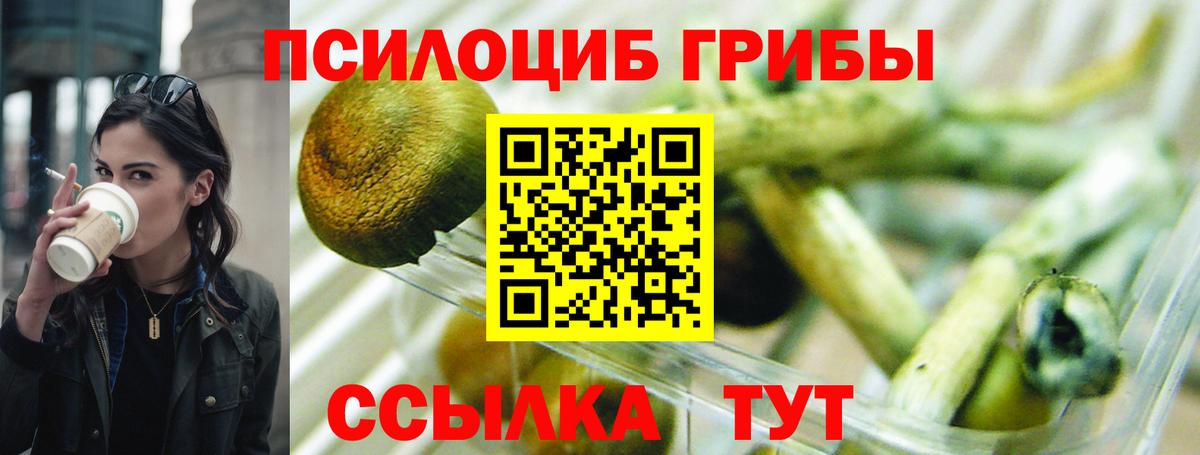 Гусиноозёрск  Галлюциногенные грибы MAGIC MUSHROOMS  Вход с VPN  Галлюциногенные грибы MAGIC MUSHROOMS 