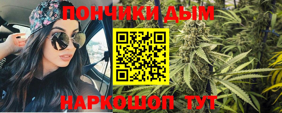Каннабис планчик  Вход с VPN  Бошки марихуана конопля  Бошки марихуана SATIVA & INDICA  Гусиноозёрск 